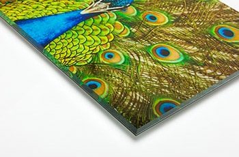 Acrylic Prints (1/4" Polished) 1/4 acrylic photo print with polished edge.