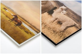 acrylic-prints-designer acrylic-prints-designer