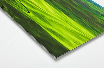 Metal Print (Dibond) Metal Print (Dibond)