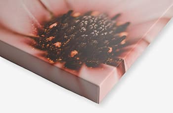 Canvas Prints - Mirror Wrapped