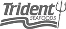 Trident®LogoSpot